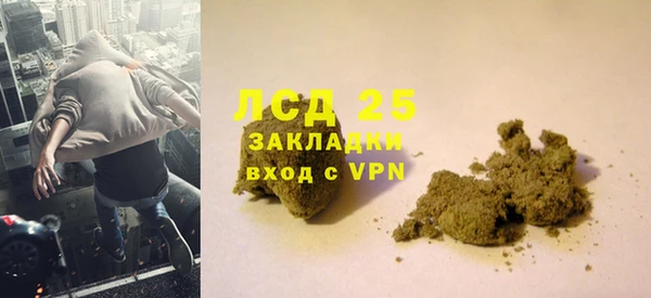 сатива Армянск