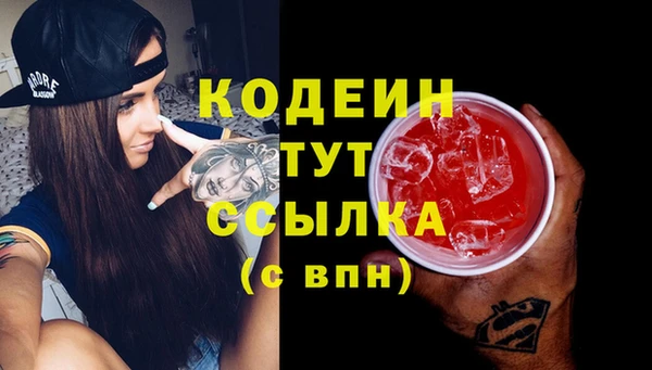 соль ск Новодвинск