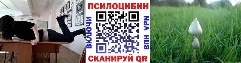 Галлюциногенные грибы Psilocybe  маркетплейс формула  Нытва  МЕГА сайт 